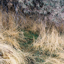 Mygatt-Baker-Sams Town-crop-6.jpg