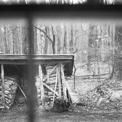 Woodshed