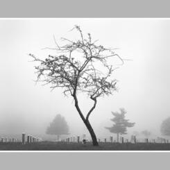 Elliott's Playground