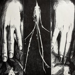 Nocturnal Pollinators