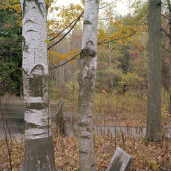 Pennsylvania to New York