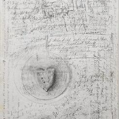 Perceptual Interference in Everyday Settings 