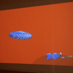 Push Me Pretty (Installation View)