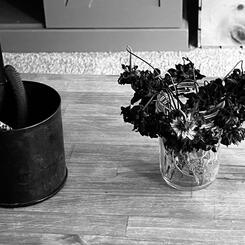 Remorse and Forgiveness