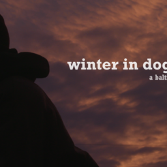 How long is the winter in dog years?