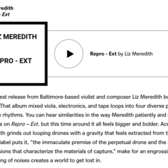 Best Experimental Music on Bandcamp: August 2024 Liz Meredith - Repro, Ext (Hard Return, 2024) 