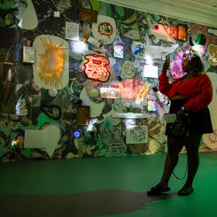 Glimmerloom Install Bromo Artwalk