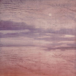 Snow in the Early Morning