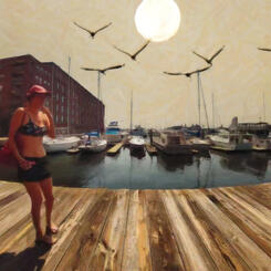 Pierspective 35 July 2024 [ Mr. Hitchcock please call off the birds! ]