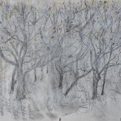 The Trees Hold Our Stories