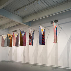 Flag Studies Installation #2