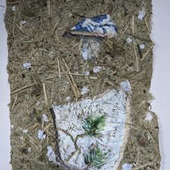 Vacant lots are full of stories- Brentwood Avenue