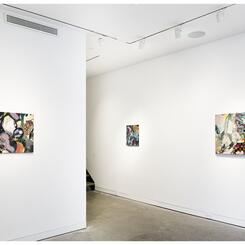 installation images from solo exhibition