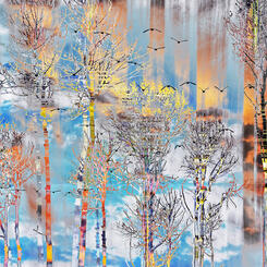 Whisper in the Woods