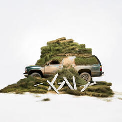 Suburban, lawn removal