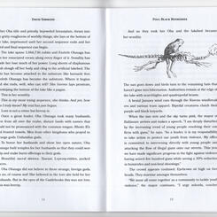 spread from Foul Black Rookeries by David Simmons