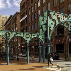 RedwoodArch Conserved