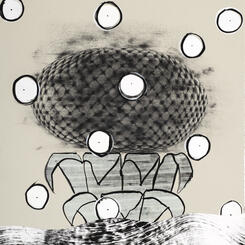 Pyroclastic Flow (grey)