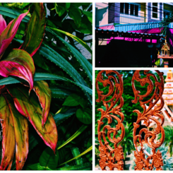 a thailand color story Reference Photography (2019)