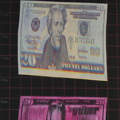 Untitled (Monetary Freefall)