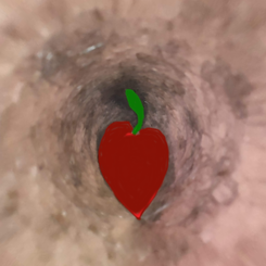 forbidden fruit (2020)