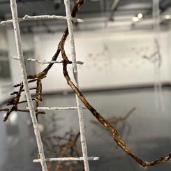 Detail of Climbing Beast