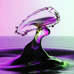 Mexican Hat Dancer - HER