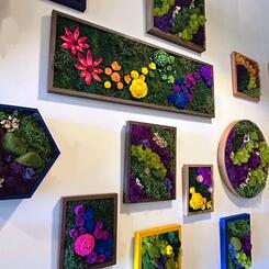 Christopher Schafer Clothier Exhibition