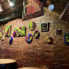 Mount Royal Tavern Exhibition