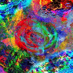 Transcendent Memories