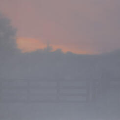 unseen until you look away