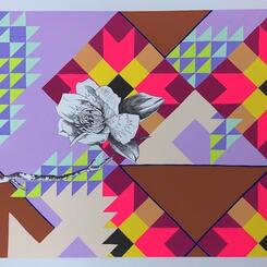 Where Unicorn Horns Come From