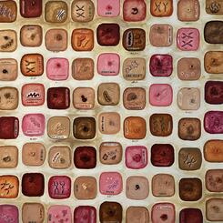 Your Body, My Choice