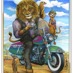 Kingchrome & Meerkatz