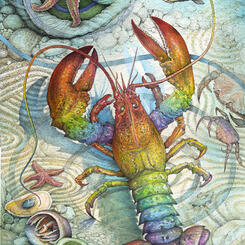 Rainbow Lobster