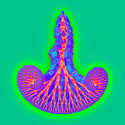 P_X.007[LittleHorn-2]