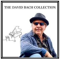 The David Bach Collection