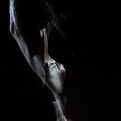 Untitled (#07-18-2025-452)