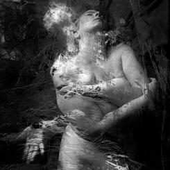 Untitled (#3572) 1989