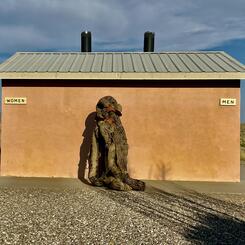 Becoming One (series)