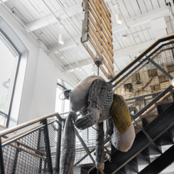 Carry What Carries You