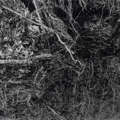 Cattail Reservoir, 2024