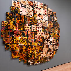 Contamination (39° 19.718′ N, 76° 37.326′ W)