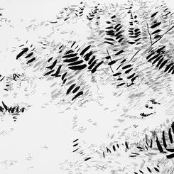 Garden Shadow Happenings  (Fern) 2025.