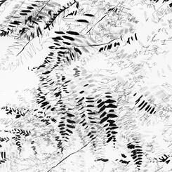 Garden Shadow Happenings  (Fern) 2025.