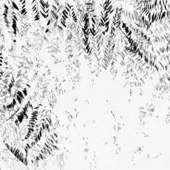 Garden Shadow Happenings  (Fern) 2025.