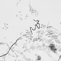 Garden Shadow Happenings  (Dimensional) 2025.