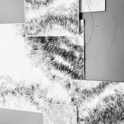 Backyard Shadow Happening (Evergreen ) Wall Installation No. 1