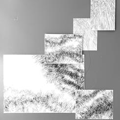 Backyard Shadow Happening (Evergreen ) Wall Installation No. 1