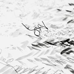 Garden Shadow Happenings (Dimensional) 2025.